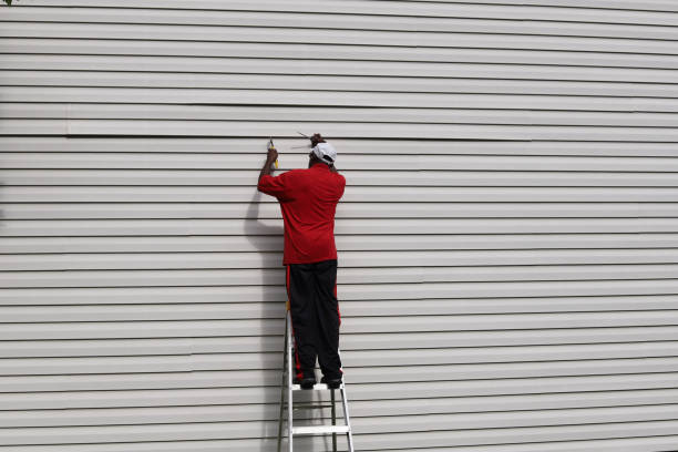 Best Aluminum Siding Installation  in Carterville, MO